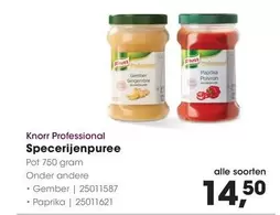 Knorr - Specerijenpuree