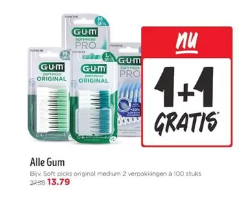 Medium - Gum