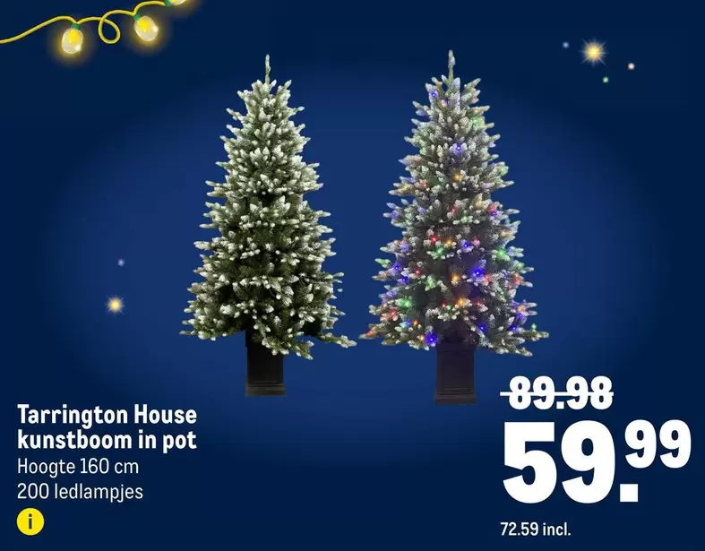 House - Kunstboom In Pot