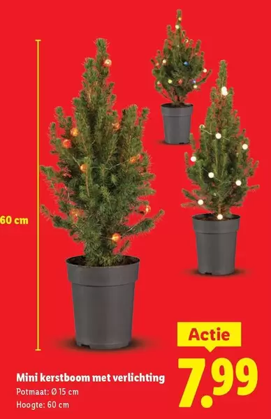 Mini kerstboom met verlichting