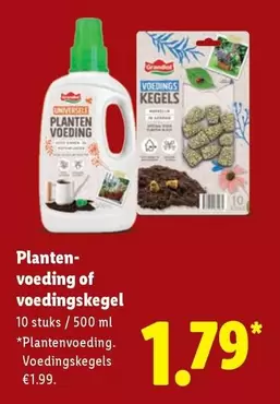 Planten- voeding of voedingskegel