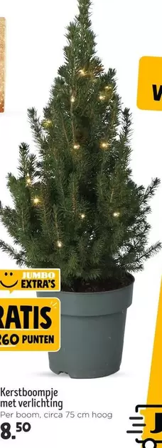 Jumbo - Kerstboompje met verlichting