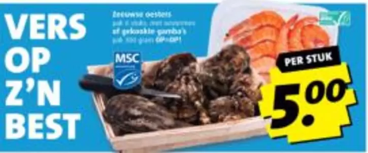 Op - Zeeuwse oesters