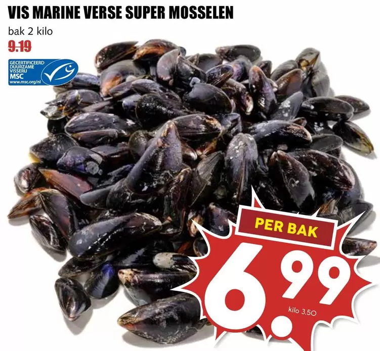 VERSE SUPER MOSSELEN