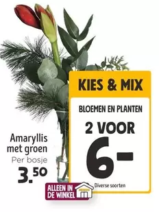 De - BLOEMEN EN PLANTEN