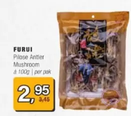 Pilose Antler Mushroom