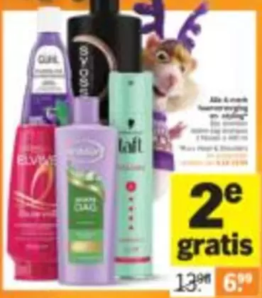 Haarverzorging en styling