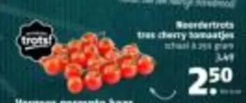 Tros Cherry Tomaatjes