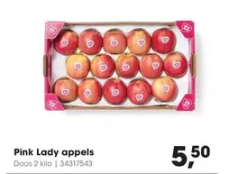 Pink - Lady appels
