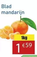 Blad mandarijn