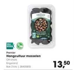 Hangcultuur mosselen