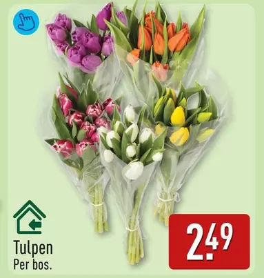 Tulpen