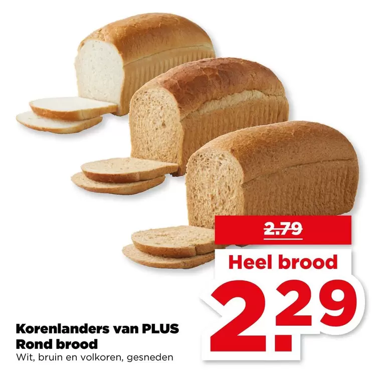 Bruin - Rond brood