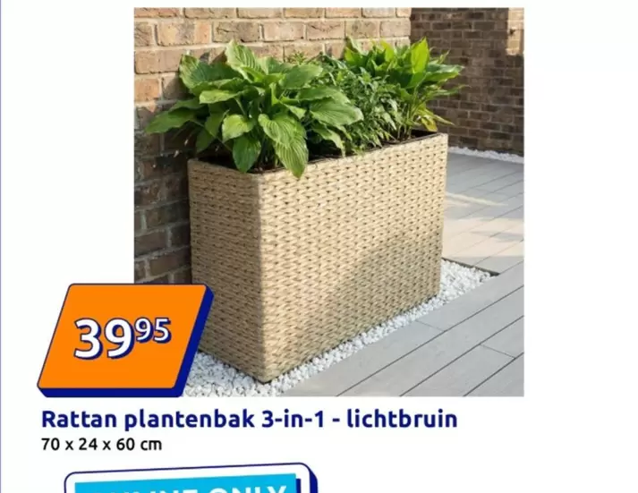 Rattan plantenbak 3-in-1-lichtbruin