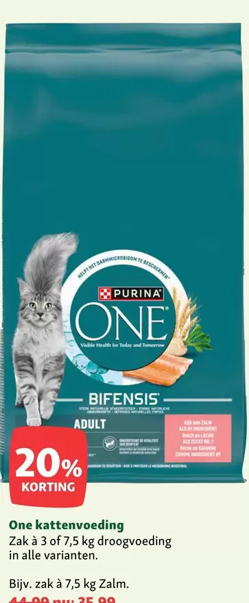one - Kattenvoeding