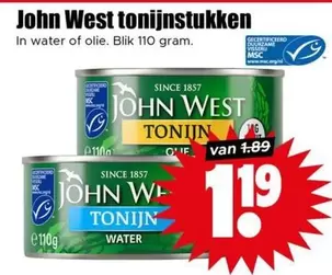 Tonijnstukken