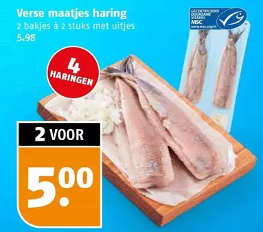 Verse maatjes haring