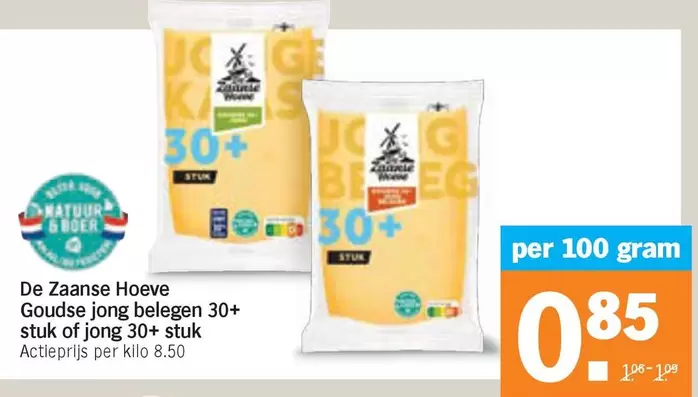 De - Goudse jong belegen 30+ stuk of jong 30+ stuk