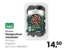 Hangcultuur mosselen