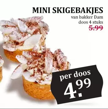 MINI SKIGEBAKJES