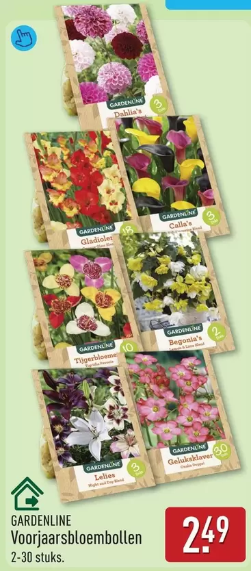 Voorjaarsbloembollen