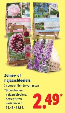 Zomer- of najaarsbloeiers