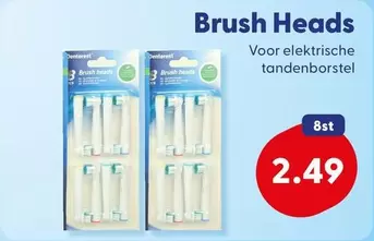 Brush Heads