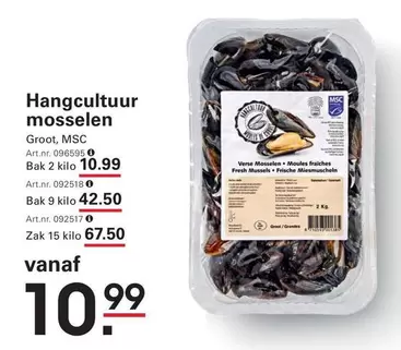 Hangcultuur mosselen