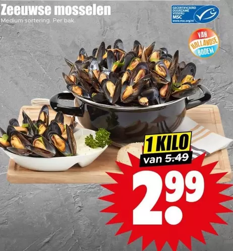 Medium - Zeeuwse mosselen