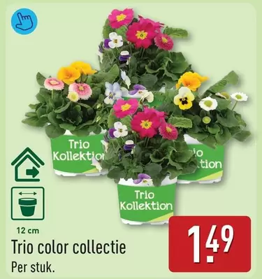 Trio color collectie