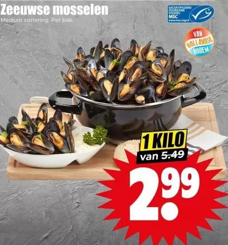 Medium - Zeeuwse mosselen