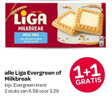 Liga Evergreen of Milkbreak