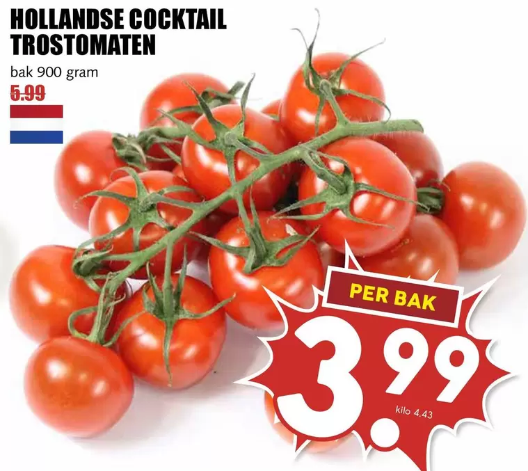 HOLLANDSE COCKTAIL TROSTOMATEN