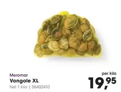 Vongole XL