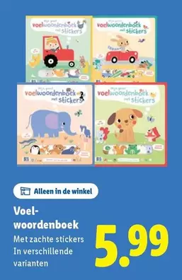 De - Voel-woordenboek