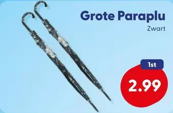 Grote Paraplu