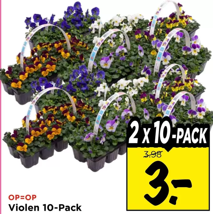 Violen 10-Pack