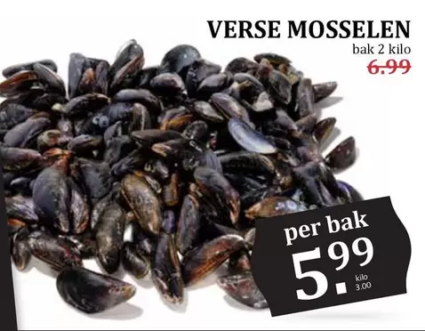 VERSE MOSSELEN
