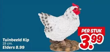 Tuinbeeld Kip