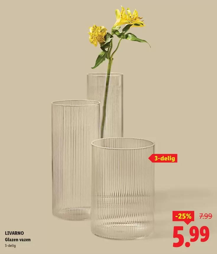 LIVARNO Glazen vazen 3-delig