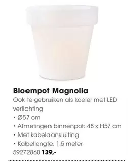 Magnolia - Bloempot  59272860