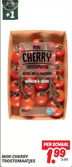 GE - MINI CHERRY TROSTOMATEN