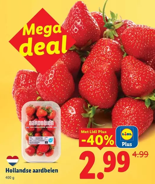 mega - Hollandse aardbeien