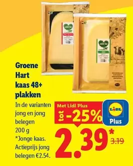 De - Groene Hart kaas 48+