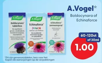 Op - Boldocynara of Echinacea