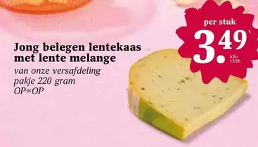 Jong belegen lentekaas met lente melange