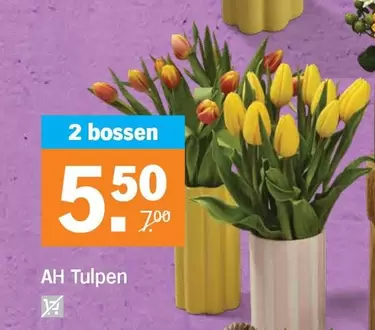 Ah - Tulpen