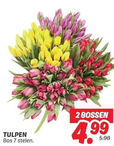 TULPEN Bos 7 stelen