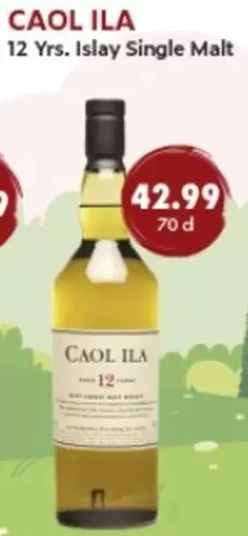 12 Yrs. Islay Single Malt