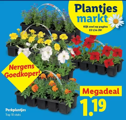 Op - Plantjes markt